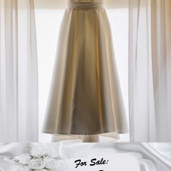 For Sale: Wedding Dress. Never Used. - EBook