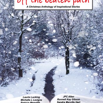 Christmas Fiction Off the Beaten Path - ebook