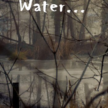 Don't Go In the Water: Classic Monsters Anthology 3 - ebook
