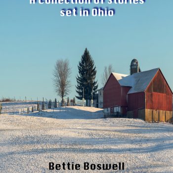 Christmas In Ohio -- book bundle, ebook
